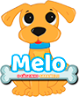 Melo o cãozinho caramelo